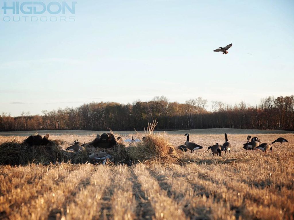 Paducah Home World Goose Calling Champions Partake in Paducah