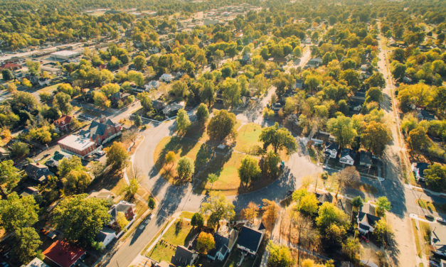 A Neighborhood on the Rise: The Story of Fountain Avenue